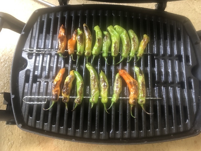 shishito peppers on the grill