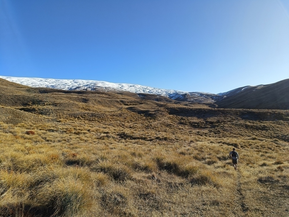 Man running through brown grass approaching a snow covered range in the distance