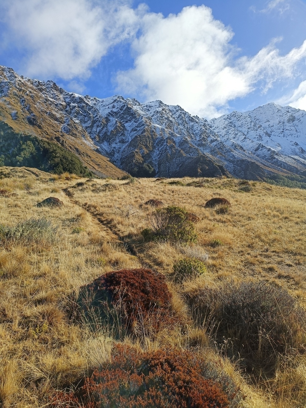 Singletrack with snowcapped mountains in the background