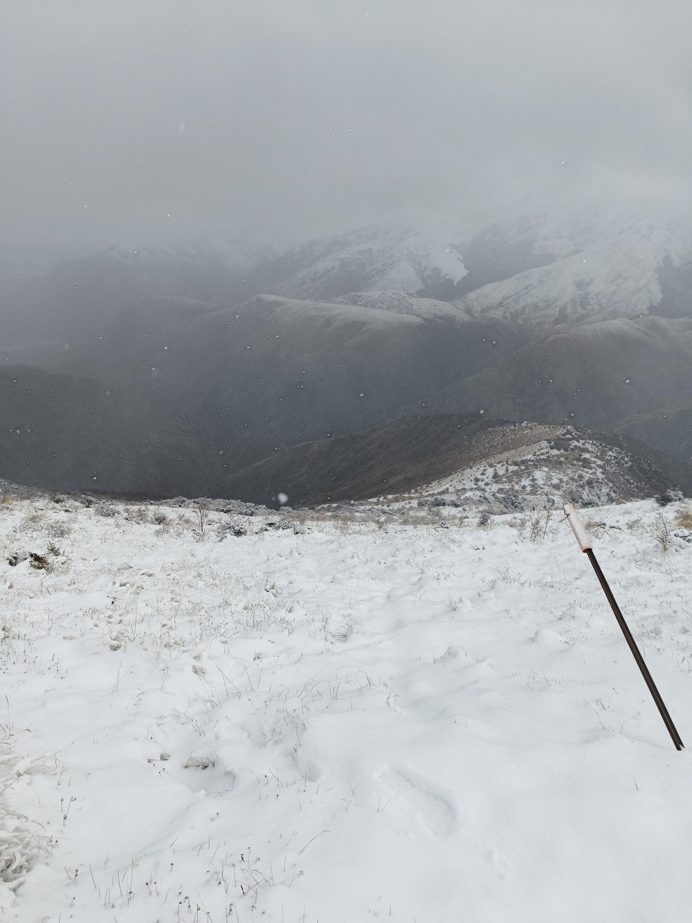 Grey day, snowing, faint trail showing under snow looking down the hill, snow stops halfway down. Marker post on the right.