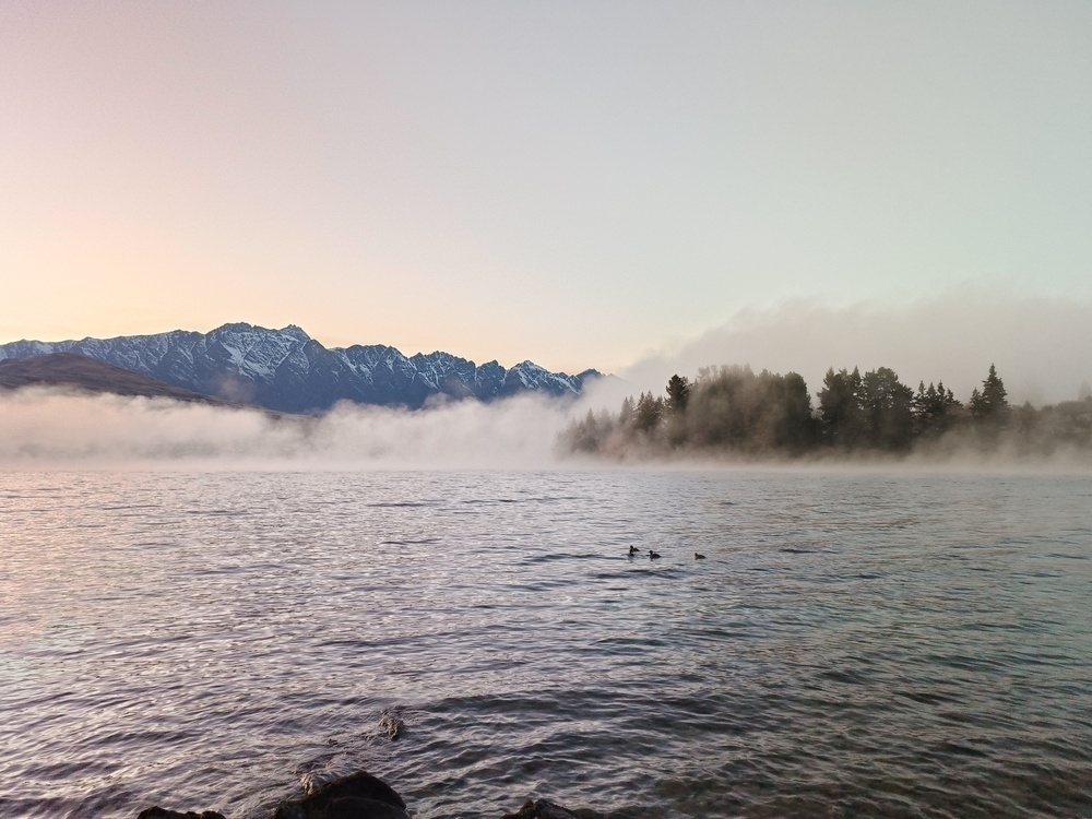 Shot over the lake with a must rolling through, ducks in foreground and the Remarkables in the back