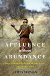 Cover for Affluence Without Abundance: What We Can Learn from the World's Most Successful Civilisation