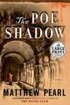 Cover for The Poe Shadow