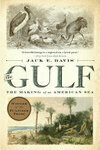 Cover for The Gulf