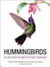 Cover for Hummingbirds: A Life-size Guide to Every Species