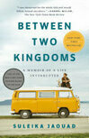 Cover for Between Two Kingdoms