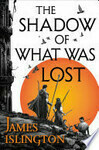 Cover for The Shadow of What Was Lost