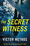 Cover for The Secret Witness