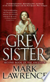 Cover for Grey Sister