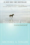 Cover for The Untethered Soul