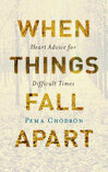 Cover for When Things Fall Apart