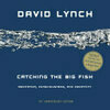 Cover for Catching the Big Fish