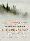Cover for The Abundance: Narrative Essays Old and New