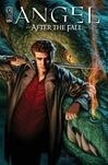 Cover for Angel: After the Fall, Volume 1