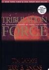 Cover for Tribulation Force (Left Behind, #2)