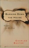 Cover for Burning Down the House: Essays on Fiction