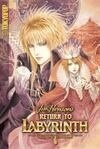 Cover for Return to Labyrinth, Vol. 1