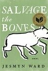Cover for Salvage the Bones