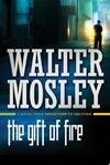 Cover for The Gift of Fire: A Novel from Crosstown to Oblivion