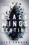 Cover for Black Wings Beating (Skybound, #1)