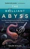 Cover for The Brilliant Abyss: True Tales of Exploring the Deep Sea, Discovering Hidden Life and Selling the Seabed
