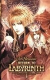 Cover for Return to Labyrinth, Vol. 1
