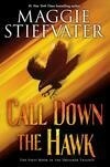 Cover for Call Down the Hawk (Dreamer Trilogy, #1)