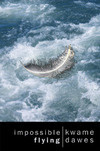 Cover for Impossible Flying: Poems