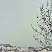 FilipedePortugal@masto.pt