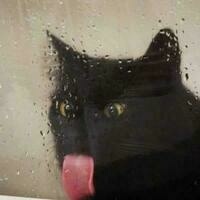 per_sonne@ciberlandia.pt