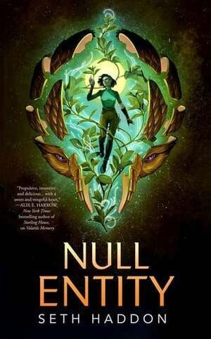 Cover of Null Entity