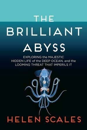 The Brilliant Abyss: Exploring the Majestic Hidden Life of the Deep Ocean, and the Looming Threat That Imperils It