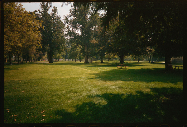A sunlit park area features lush green grass, scattered trees, and a picnic table shaded underneath.