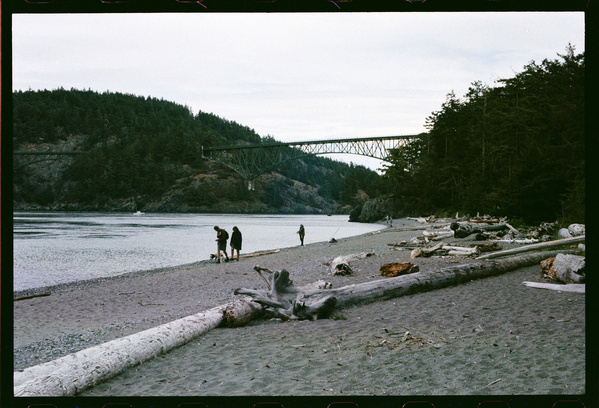 A sandy beach scattered with driftwood logs and a few people walking near the water, with a forested hillside and a bridge in the background.