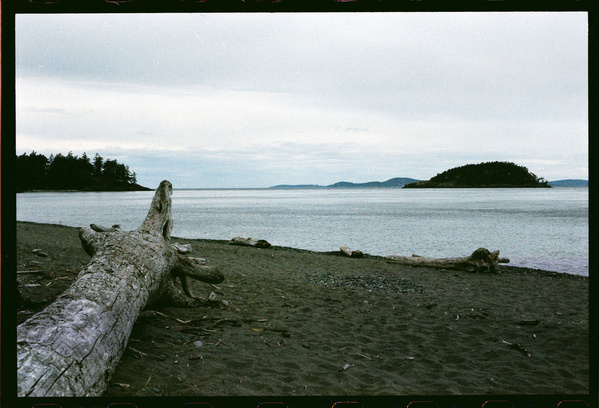A weathered log lies on a pebbly beach with calm water and small islands visible in the distance under a cloudy sky.