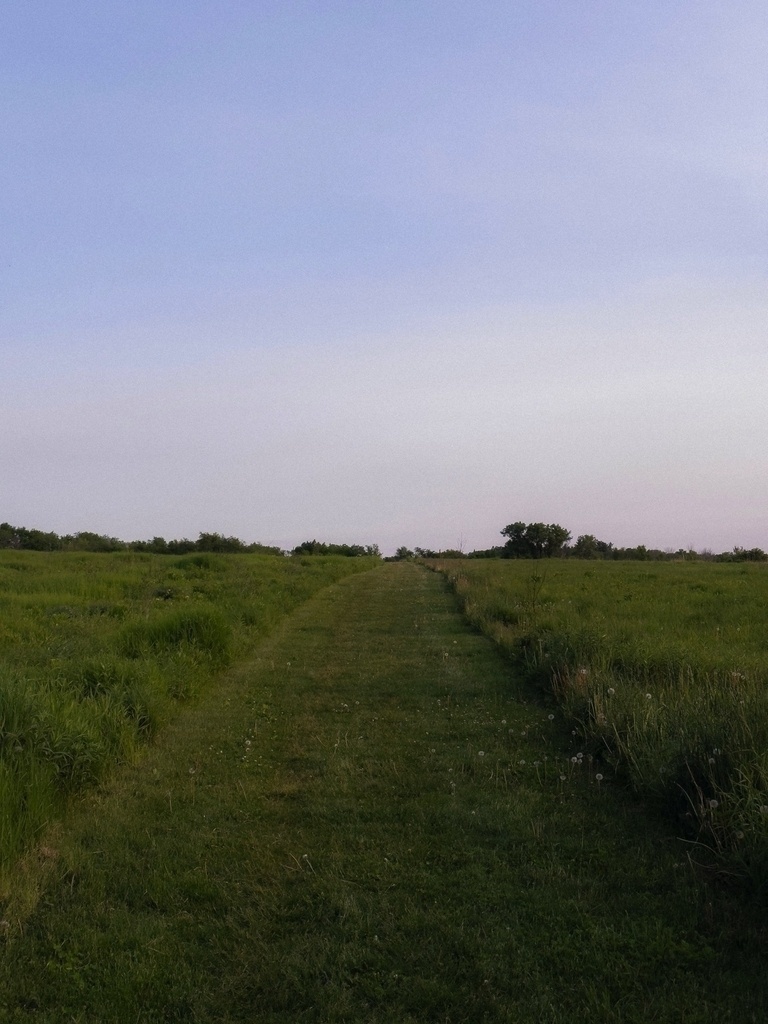 A serene pastel evening landscape featuring a grassy path that stretches straight into the distance, flanked by tall green grass and wild vegetation. The sky above fades from soft blue to pale lavender and pink near the horizon, evoking a calm and peaceful atmosphere. Sparse trees line the distant edge of the field under the open sky.